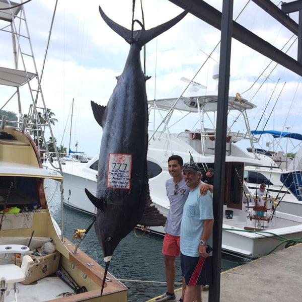 blue-marlin