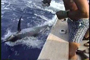 Kona fishing charter