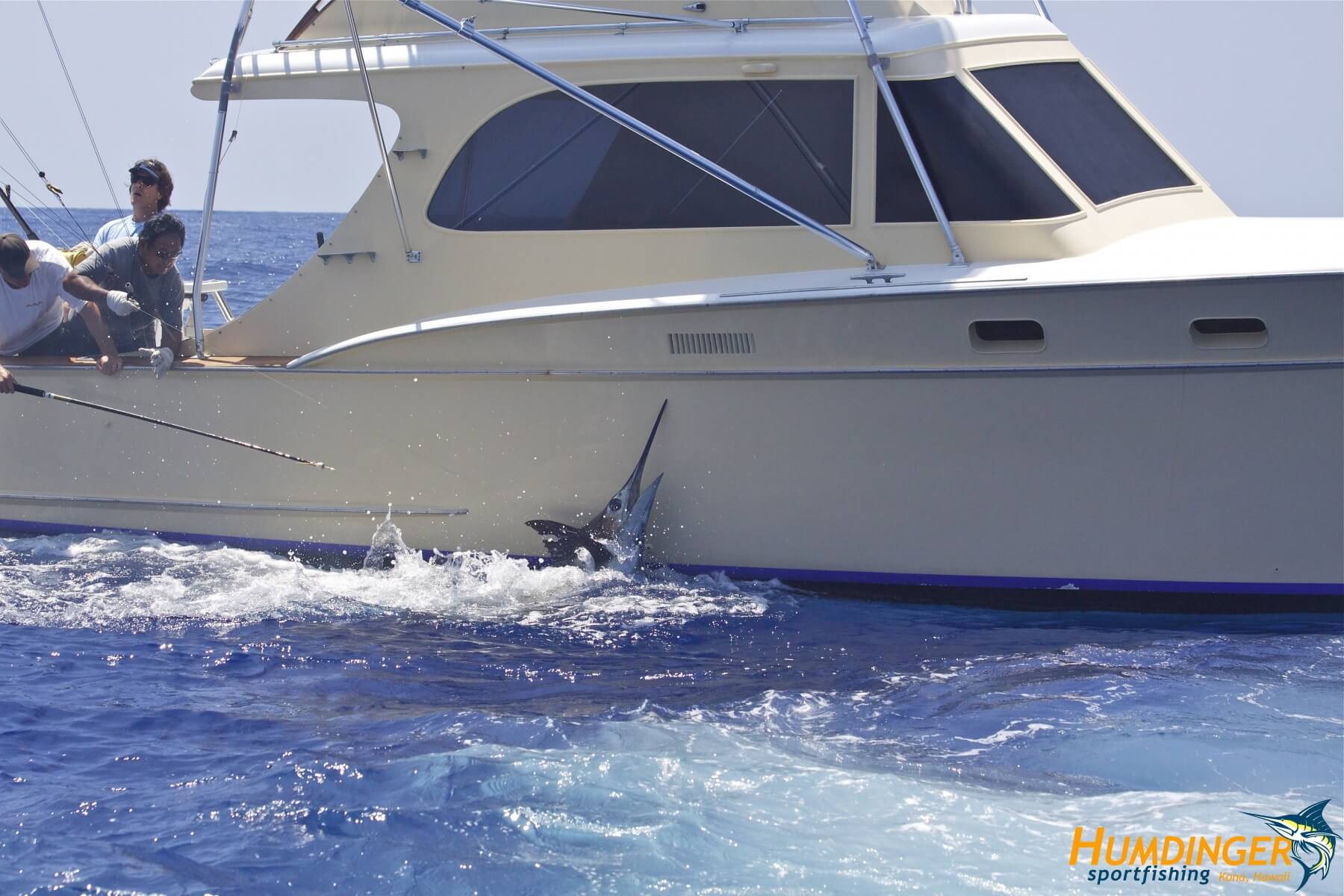 humdingersportfishing_gallery_14