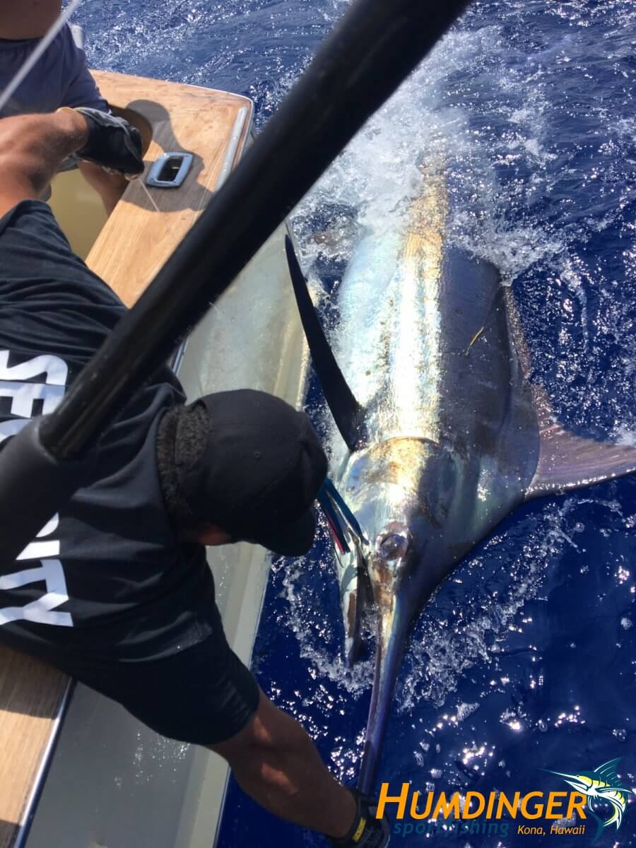 humdingersportfishing_gallery_33