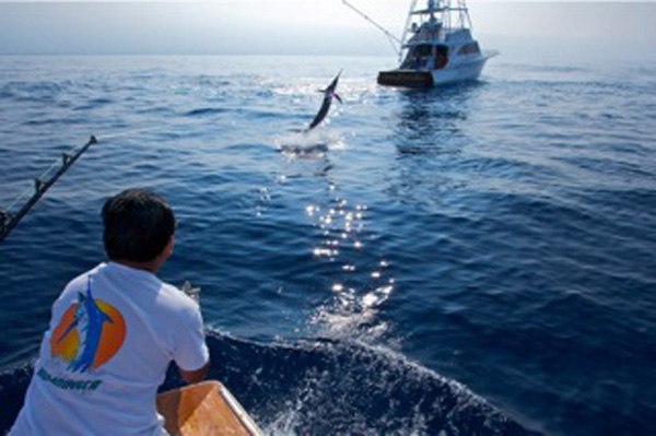 fishing-charters